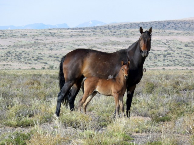 Cienaga to Barreal-031