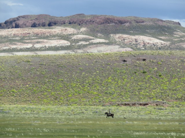 Borderpatrol Paso Roballo