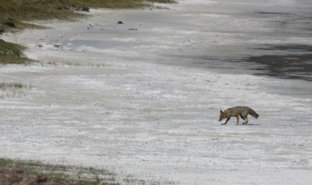 canyon near cueva des manos-007