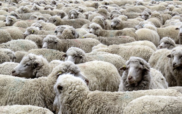 Carretera Austral South-003