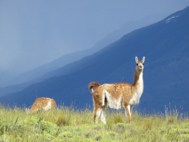 Carretera Austral South-011